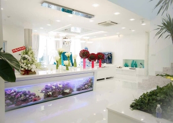 Penthhouse Sunrise City Central